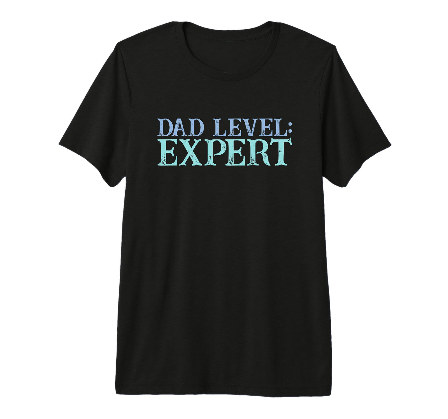 Mens Dad Level Expert Video Gamer Nerd T-Shirt - Minimalist Print Unisex - T-Shirt, Sweatshirt, Hoodie