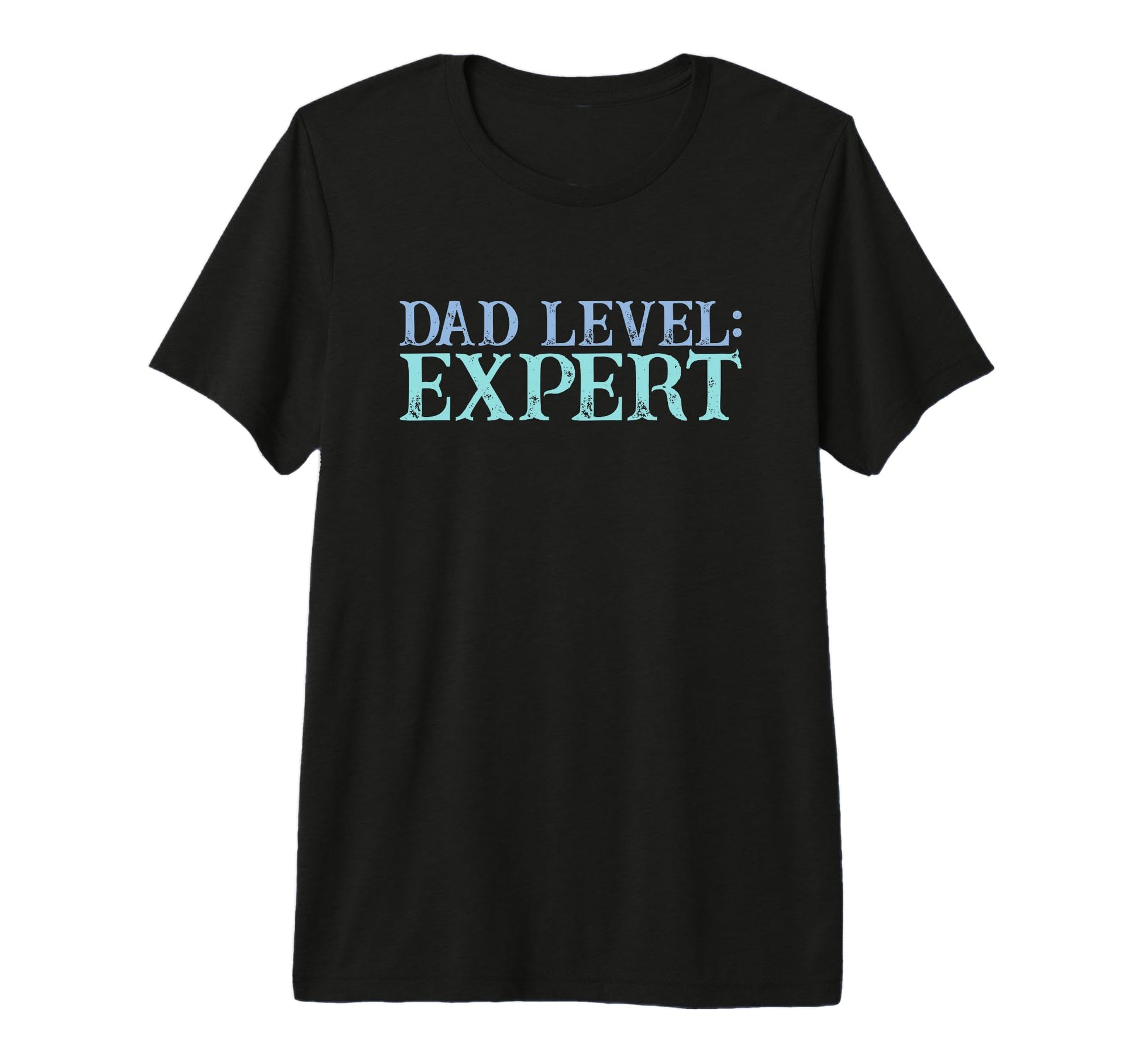 Mens Dad Level Expert Video Gamer Nerd T-Shirt - Minimalist Print Unisex - T-Shirt, Sweatshirt, Hoodie