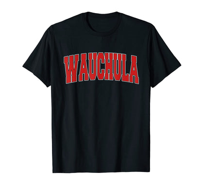 Wauchula Fl Florida Varsity Usa Sports T-Shirt - Graphic Print Men Women - T-Shirt, Sweatshirt, Hoodie