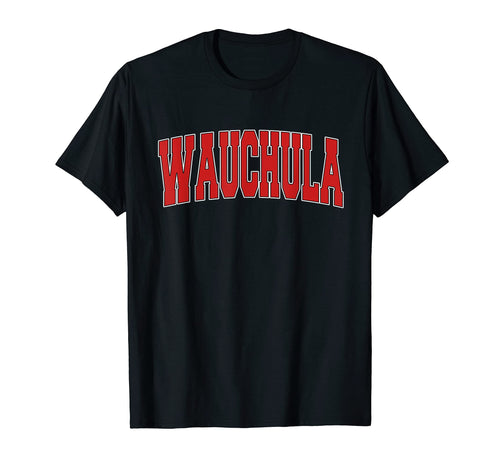 Wauchula Fl Florida Varsity Usa Sports T-Shirt - Graphic Print Men Women - T-Shirt, Sweatshirt, Hoodie