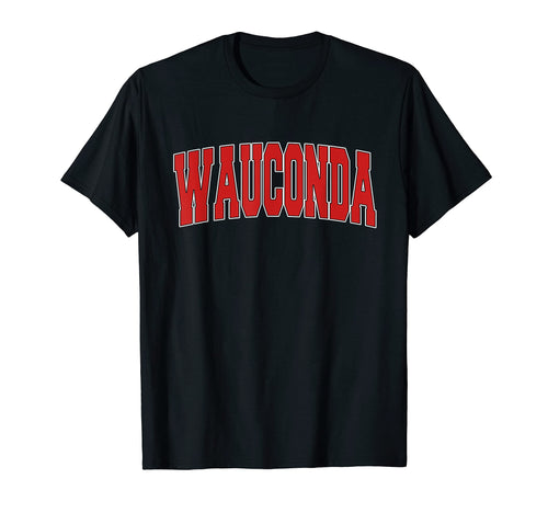 Wauconda Il Illinois Varsity Usa T-Shirt - Casual Everyday Wear Unisex - T-Shirt, Sweatshirt, Hoodie