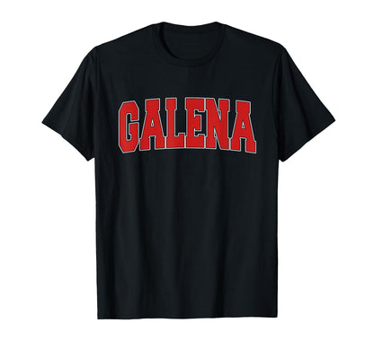 Galena Il Illinois Varsity Usa Sports T-Shirt - Novelty Apparel for Adults - T-Shirt, Sweatshirt, Hoodie