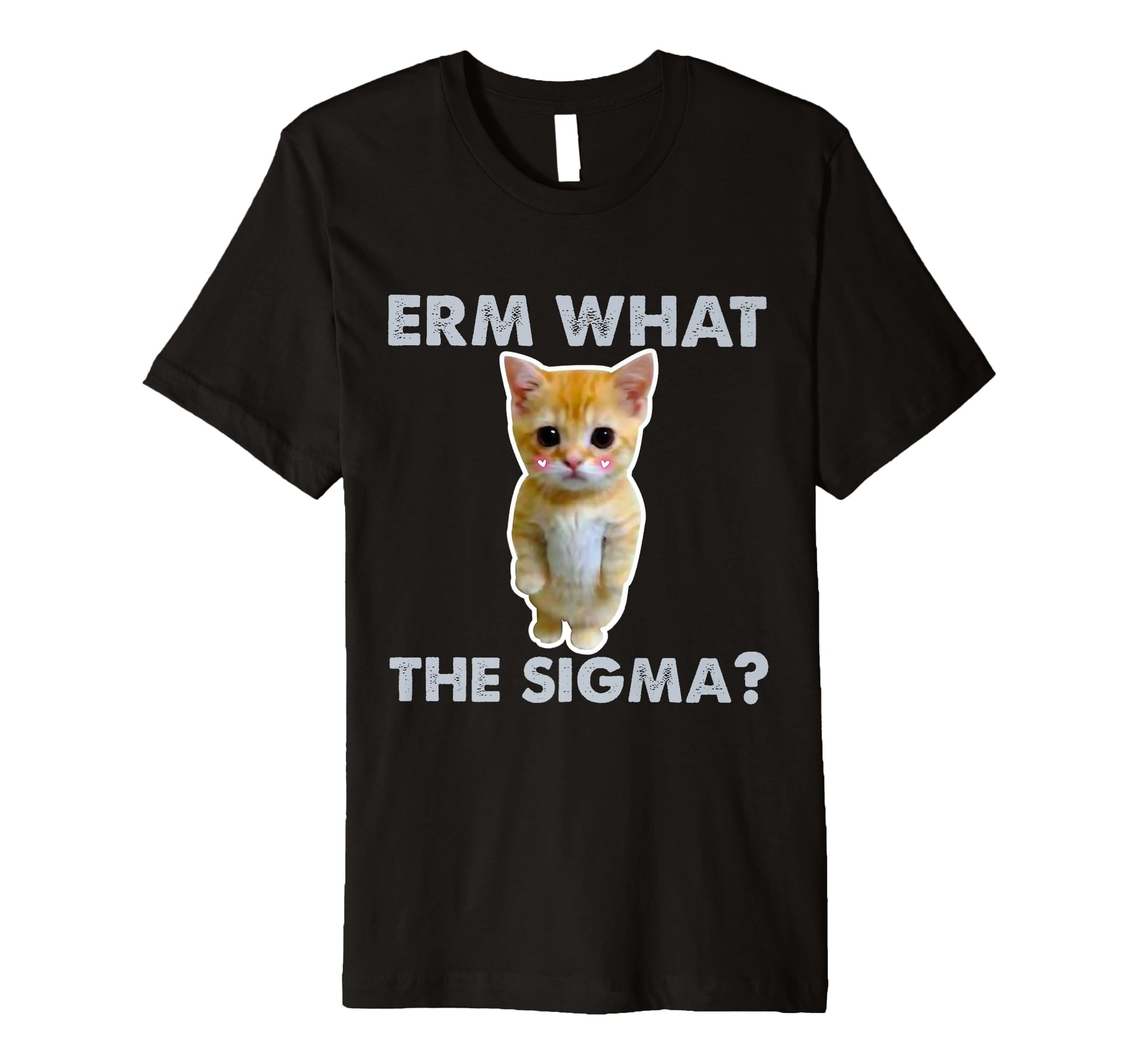 Erm What Sigma Funny Cat Meme Ironic T-Shirt - Trendy Graphic Unisex - T-Shirt, Sweatshirt, Hoodie