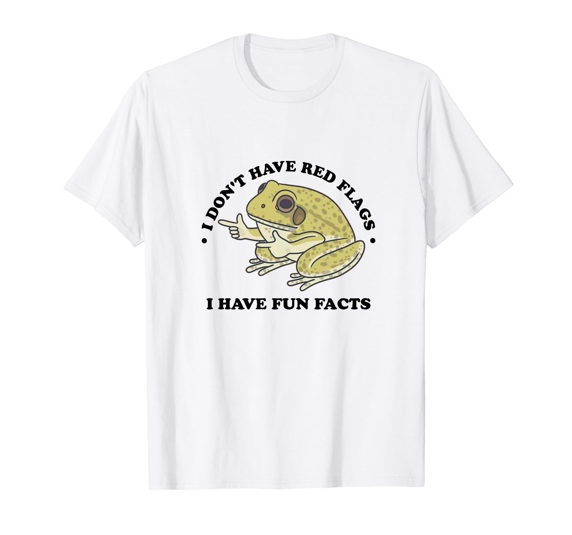 I Dont Have Red Flags I Have Fun Facts T-Shirt - Minimalist Print Unisex - T-Shirt, Sweatshirt, Hoodie