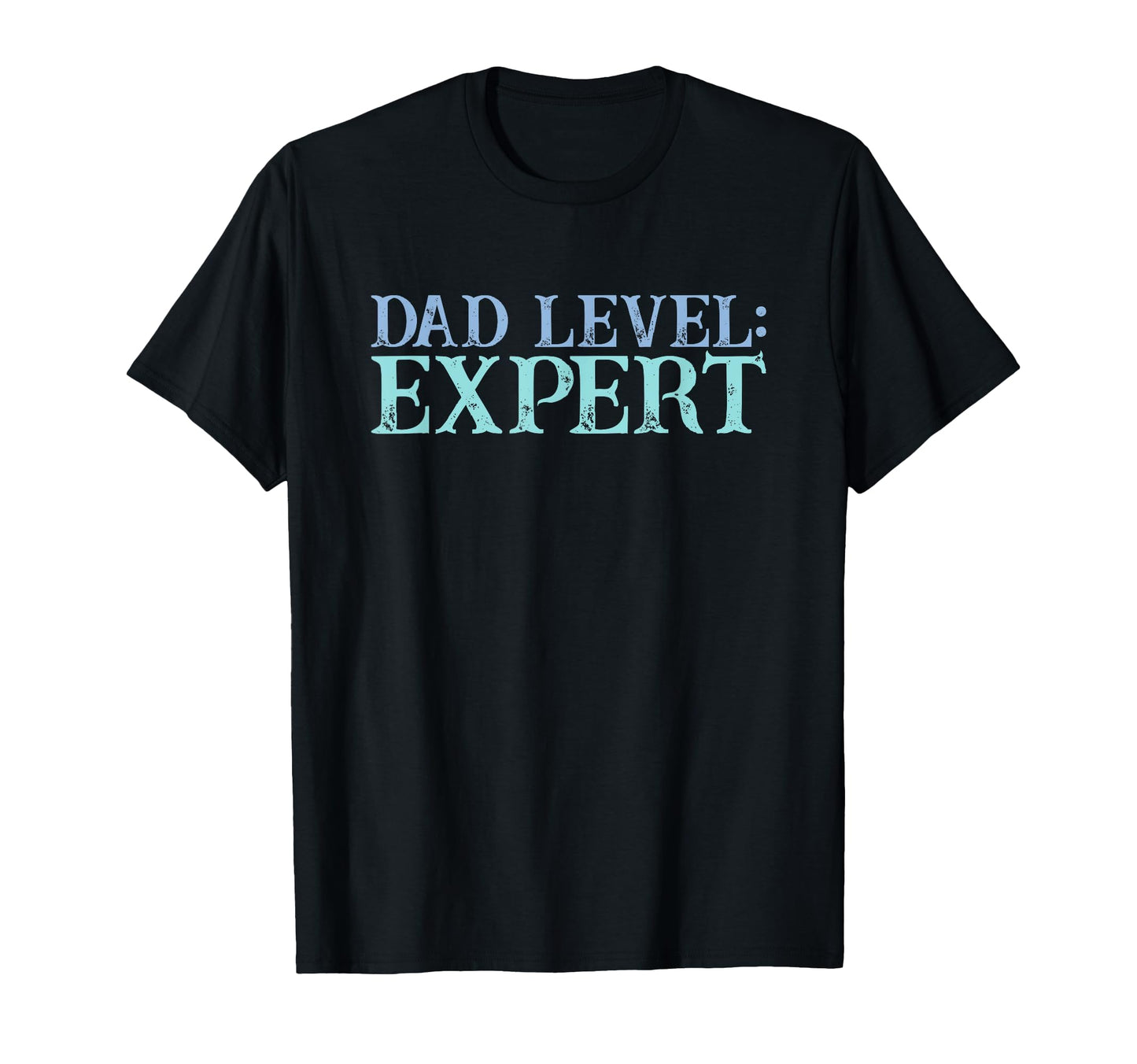 Dad Level Expert Video Gamer Nerd T-Shirt - Minimalist Print for Adults - T-Shirt, Sweatshirt, Hoodie