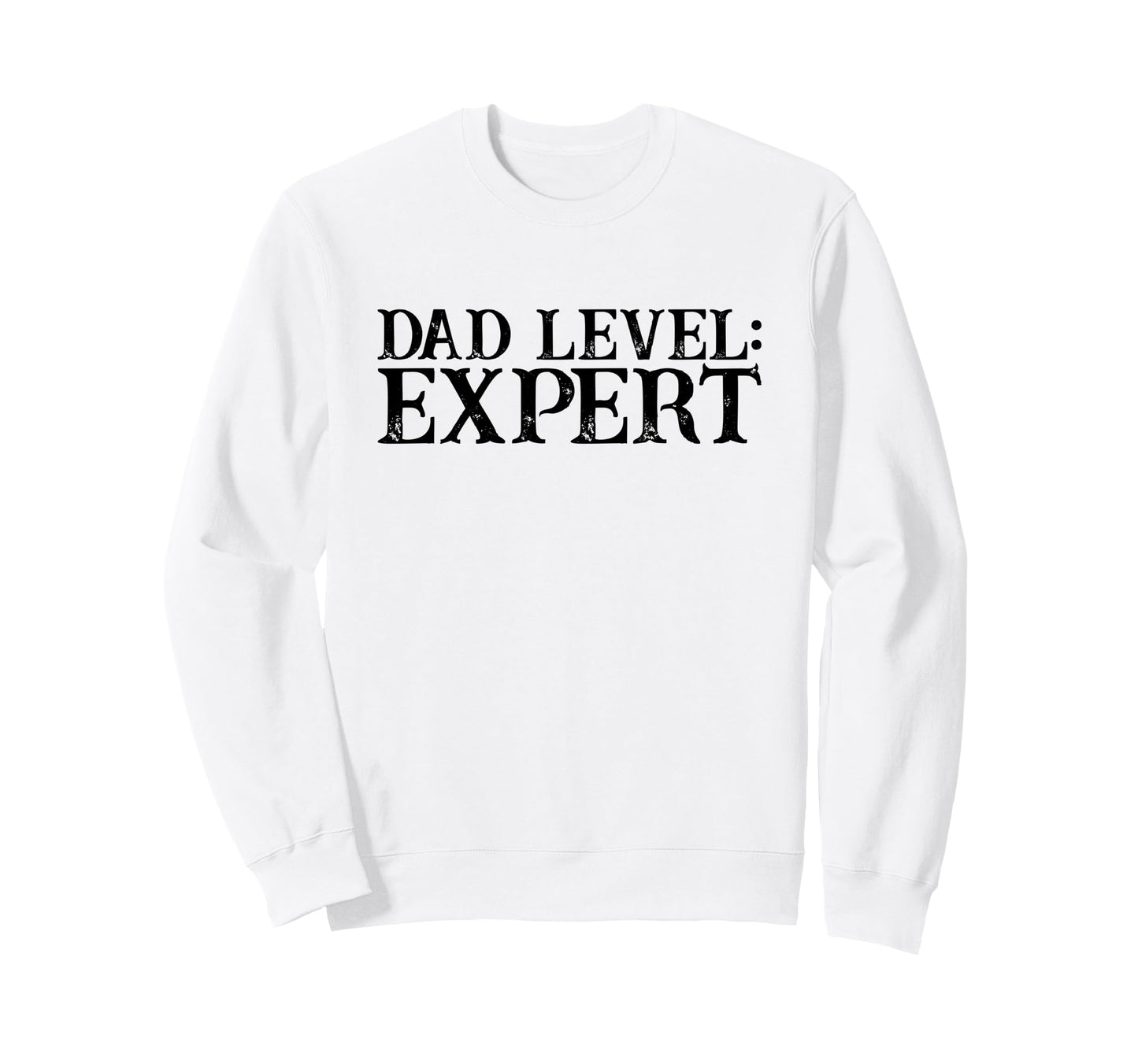 Dad Level Expert Video Gamer Nerd Sweatshirt - Minimalist Print Unisex - T-Shirt, Sweatshirt, Hoodie
