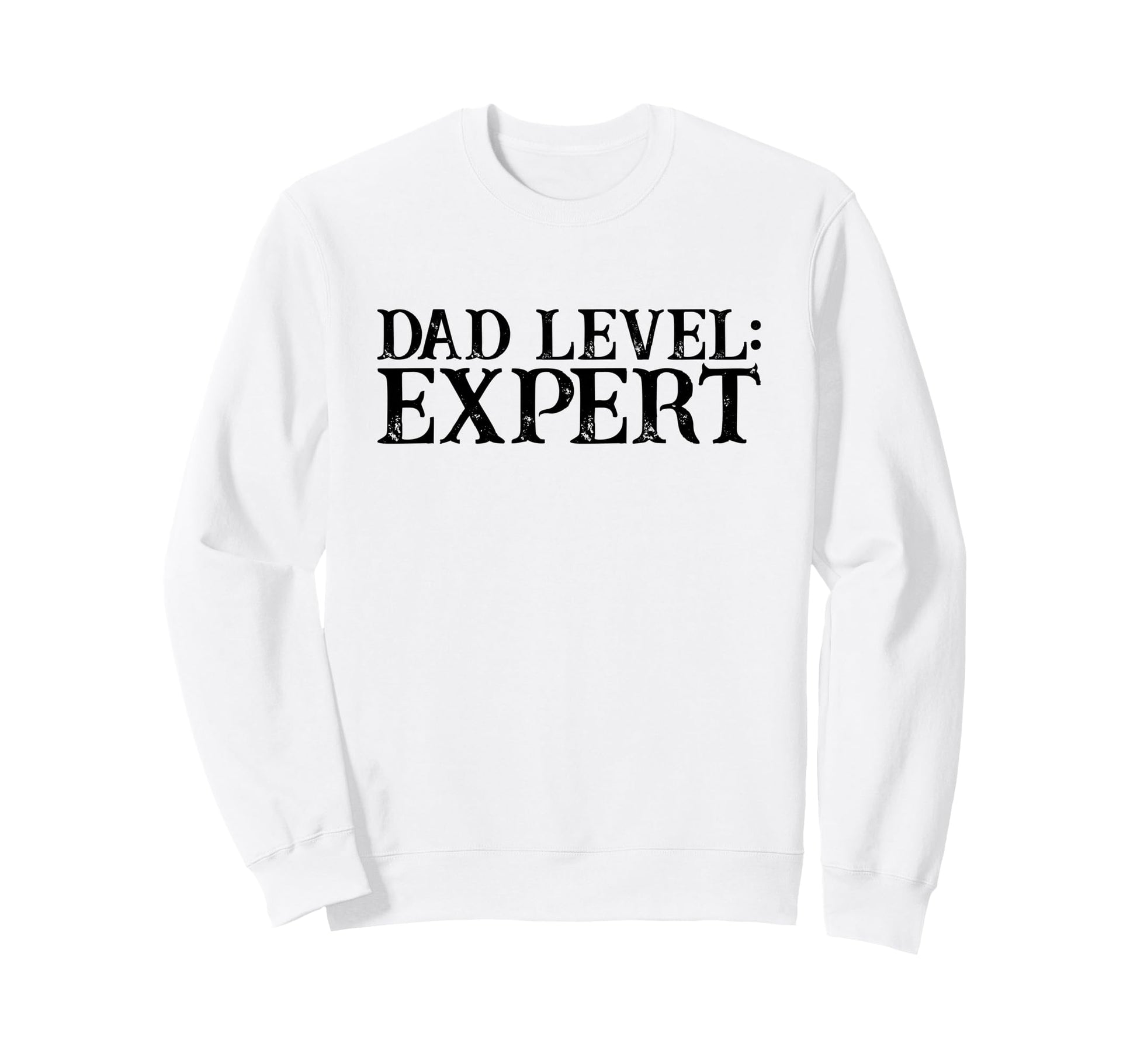 Dad Level Expert Video Gamer Nerd Sweatshirt - Minimalist Print Unisex - T-Shirt, Sweatshirt, Hoodie
