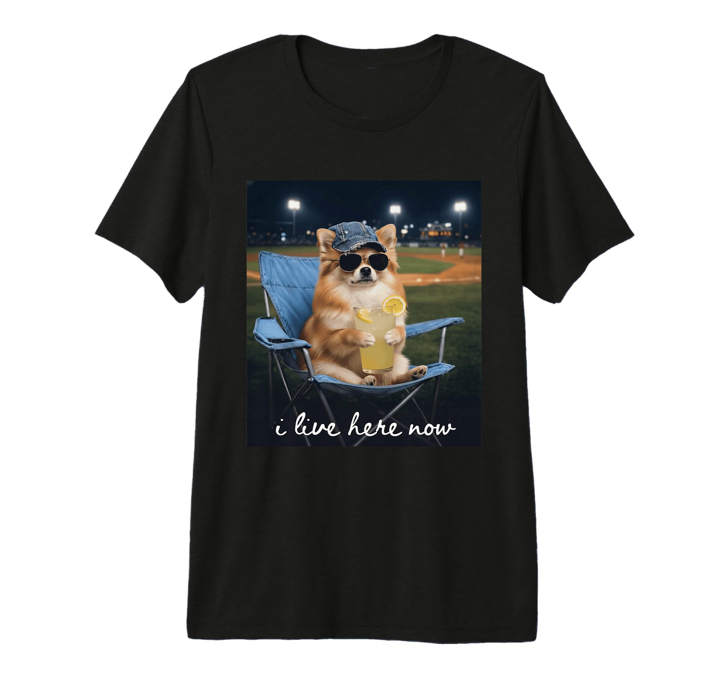 Funny Baseball Mom Pomchi Dog I T-Shirt - Casual Everyday Wear for Adults - T-Shirt, Sweatshirt, Hoodie