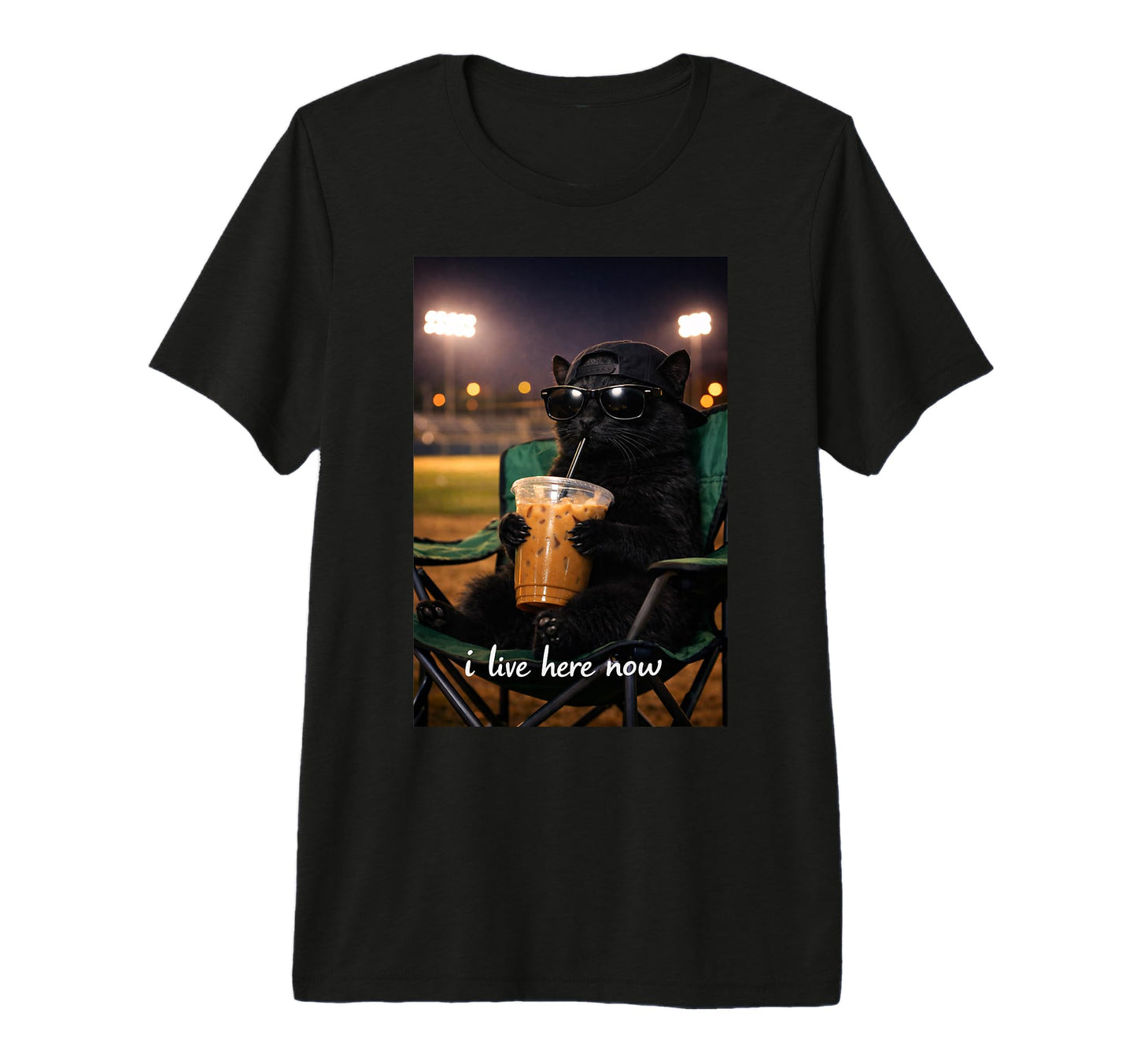 Funny Cat Black Ballfield Baseball T-Shirt - Fun Novelty Design Unisex - T-Shirt, Sweatshirt, Hoodie