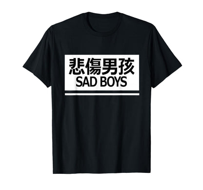 Sad Aesthetic Vaporwave Chinese Text T-Shirt - Novelty Apparel for Adults - T-Shirt, Sweatshirt, Hoodie