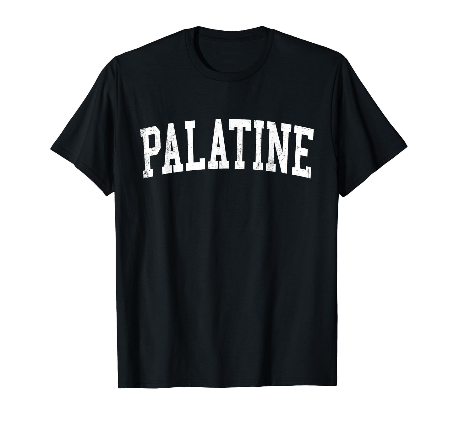 Palatine Il Distressed White Varsity T-Shirt - Aesthetic Graphic for Adults - T-Shirt, Sweatshirt, Hoodie