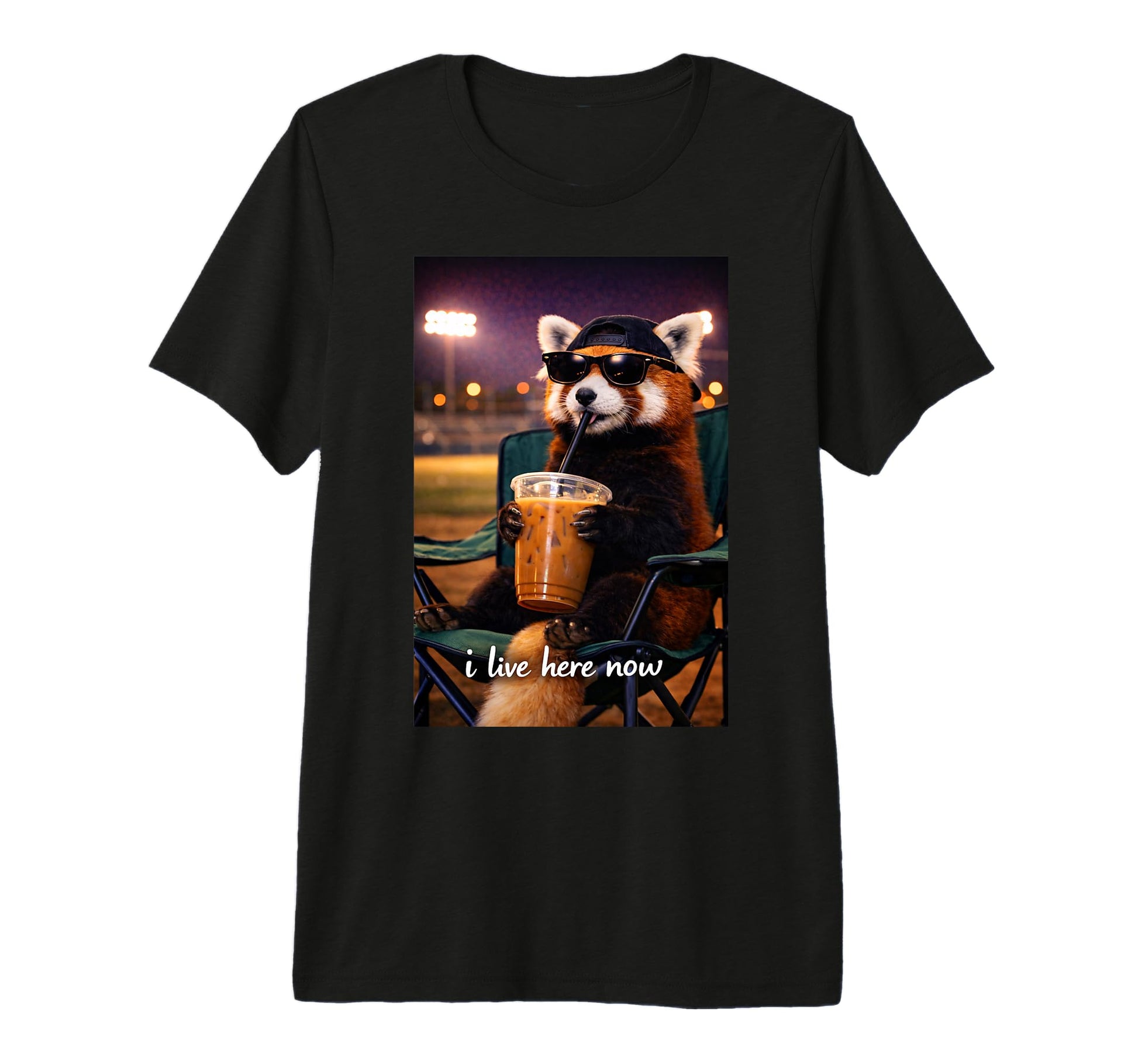 Funny Red Panda Ballfield Baseball Field I T-Shirt - Graphic Print Unisex - T-Shirt, Sweatshirt, Hoodie