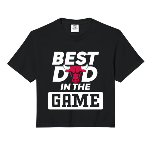 Nba Best Dad Game Bulls Fathers Day Hoodie - Novelty Apparel for Adults - T-Shirt, Sweatshirt, Hoodie
