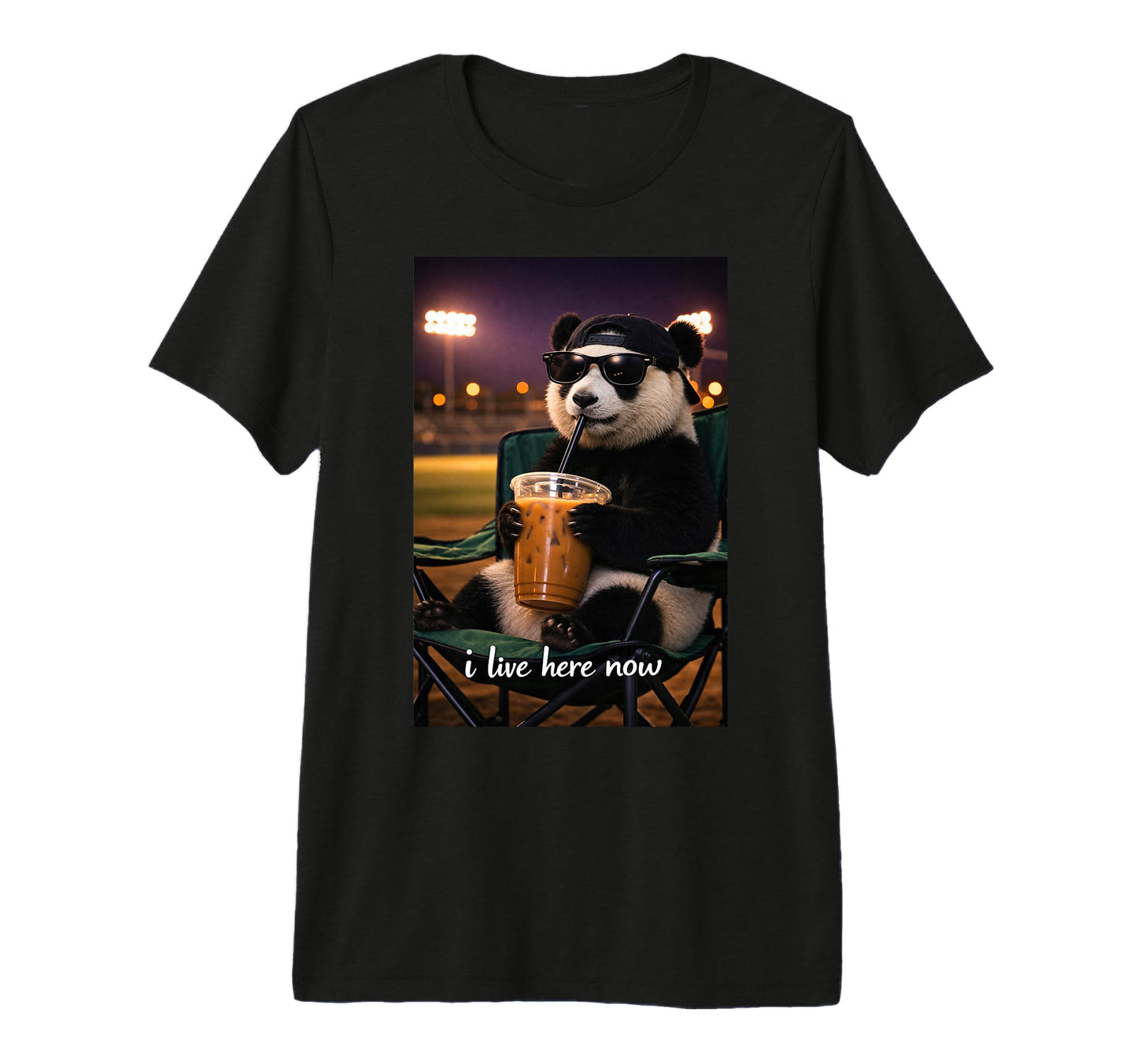 Funny Panda Ballfield Baseball Field T-Shirt - Aesthetic Graphic Men Women - T-Shirt, Sweatshirt, Hoodie