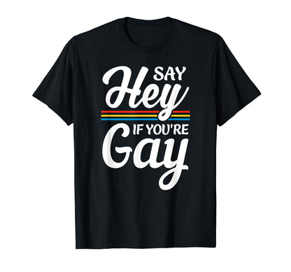 Lgbtq Be You Gay Pride Lgbt Ally T-Shirt - Casual Everyday Wear Unisex - T-Shirt, Sweatshirt, Hoodie