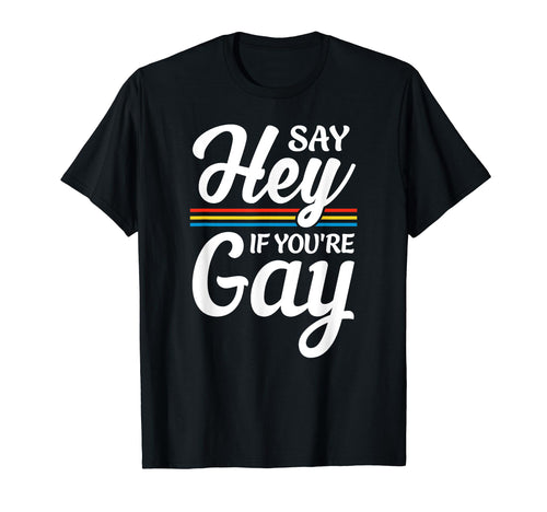 Lgbtq Be You Gay Pride Lgbt Ally T-Shirt - Casual Everyday Wear Unisex - T-Shirt, Sweatshirt, Hoodie