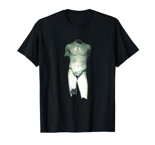 Vani Bronze Torso Greek Statue Hellenic T-Shirt - Novelty Apparel Unisex - T-Shirt, Sweatshirt, Hoodie