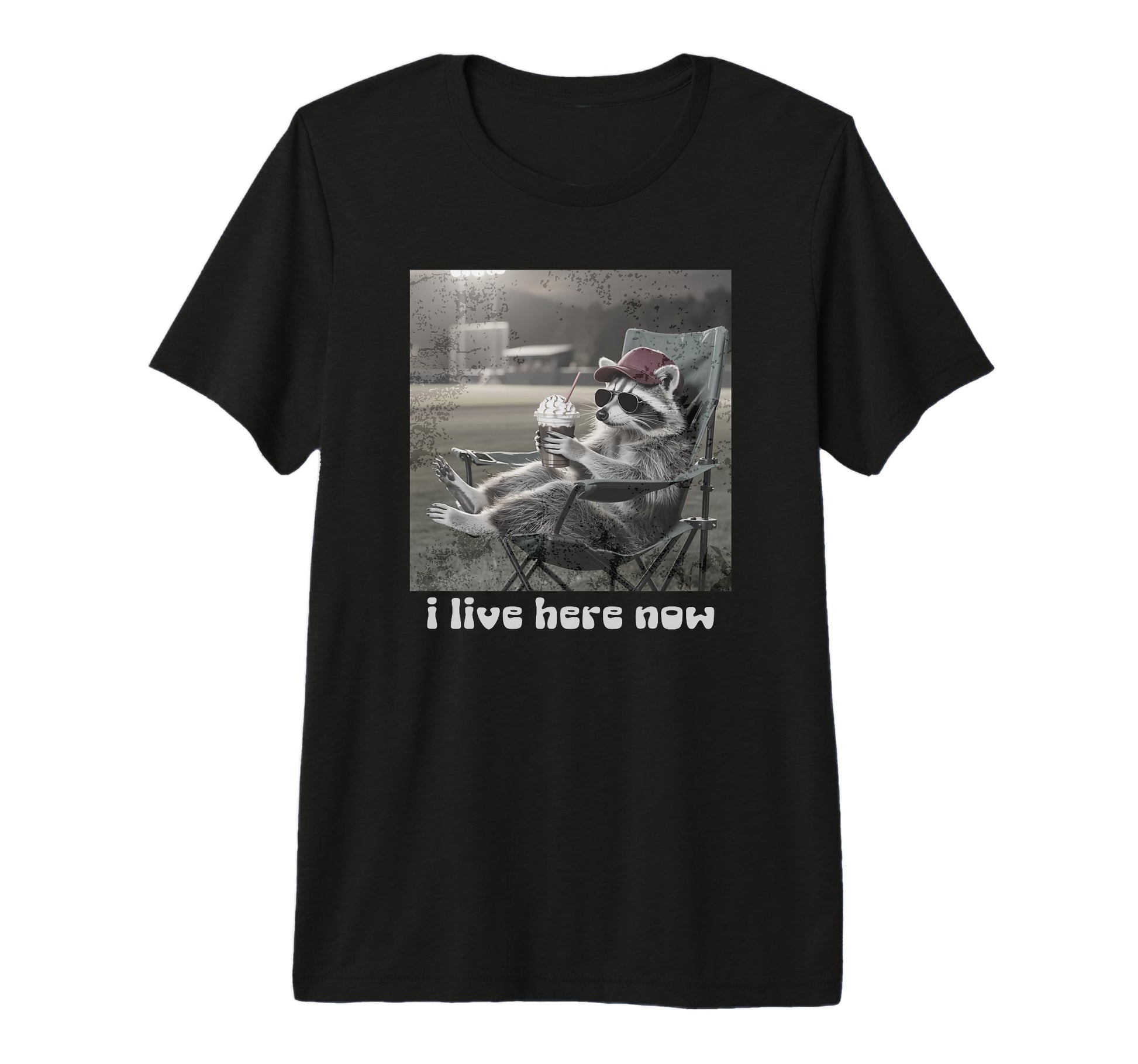 I Live Here Now Baseball Raccoon T-Shirt - Graphic Print for Adults - T-Shirt, Sweatshirt, Hoodie