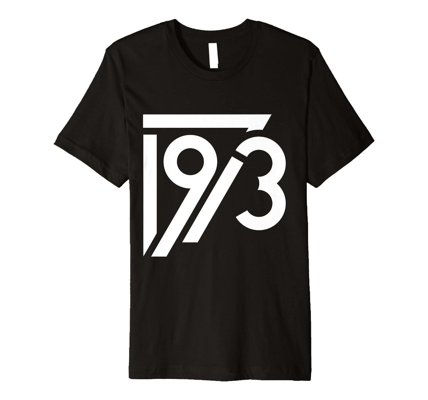 1973 Birthday Grunge Alternative T-Shirt - Casual Everyday Wear Men Women - T-Shirt, Sweatshirt, Hoodie