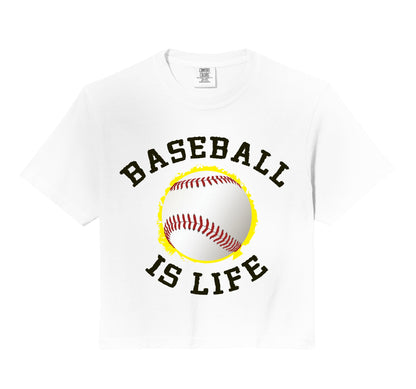 Baseball Is Life Player Fan Coach Hoodie - Fun Novelty Design for Adults - T-Shirt, Sweatshirt, Hoodie