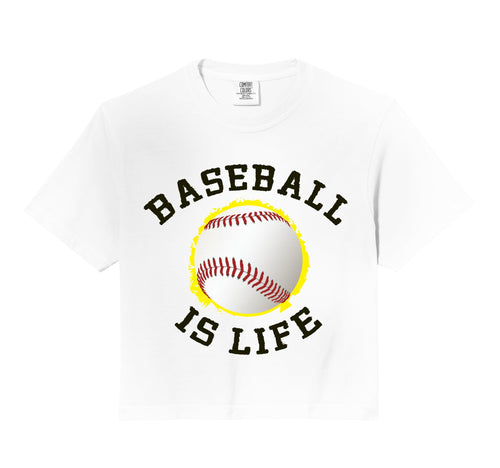 Baseball Is Life Player Fan Coach Hoodie - Fun Novelty Design for Adults - T-Shirt, Sweatshirt, Hoodie
