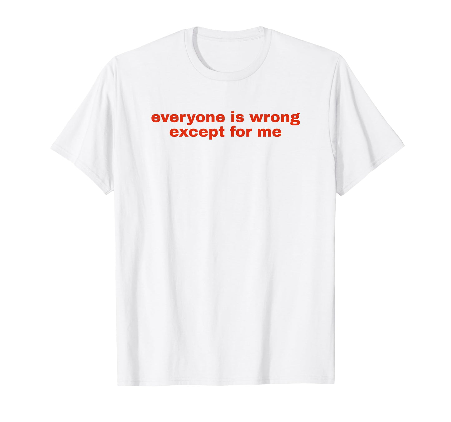 Everyone Is Wrong Except Me Funny T-Shirt - Streetwear Style for Adults - T-Shirt, Sweatshirt, Hoodie