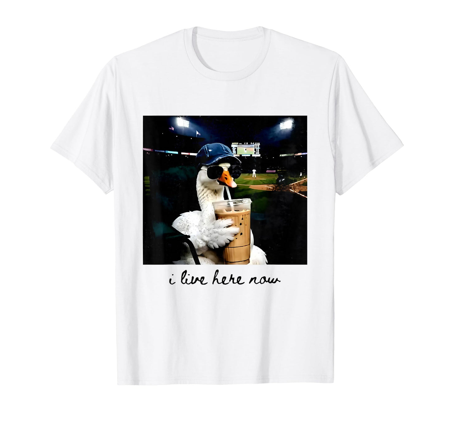 I Live Here Now Baseball Goose Meme T-Shirt - Aesthetic Graphic for Adults - T-Shirt, Sweatshirt, Hoodie