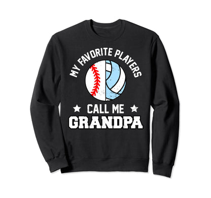 My Favorites Baseball Volleyball Sweatshirt - Minimalist Print for Adults - T-Shirt, Sweatshirt, Hoodie