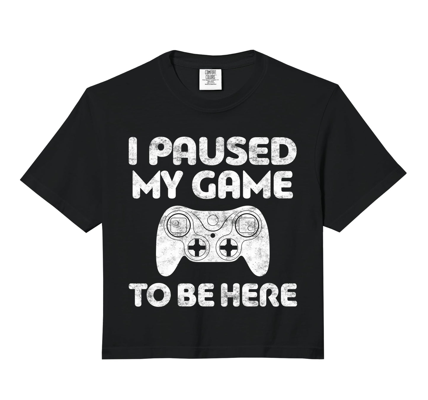 I Paused My Game To Be Here Video Hoodie - Custom Art Print Men Women - T-Shirt, Sweatshirt, Hoodie