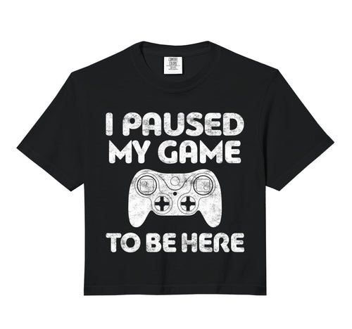 I Paused My Game To Be Here Video Hoodie - Custom Art Print Men Women - T-Shirt, Sweatshirt, Hoodie
