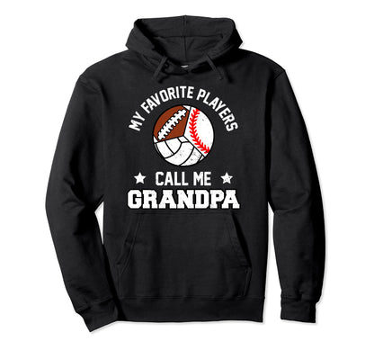 My Favorites Baseball Volleyball Hoodie - Fun Novelty Design for Adults - T-Shirt, Sweatshirt, Hoodie