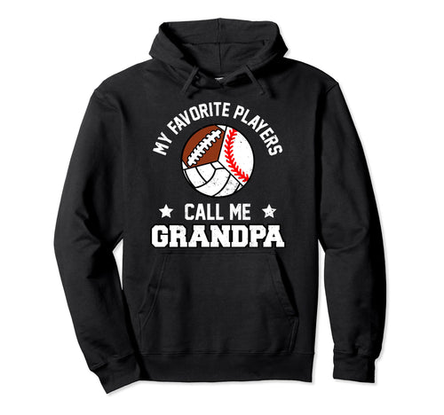 My Favorites Baseball Volleyball Hoodie - Fun Novelty Design for Adults - T-Shirt, Sweatshirt, Hoodie
