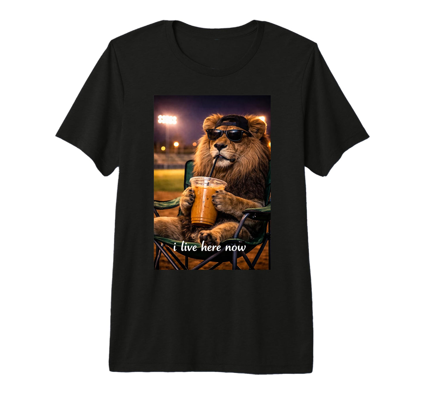 Funny Lion Ballfield Baseball Field T-Shirt - Streetwear Style for Adults - T-Shirt, Sweatshirt, Hoodie