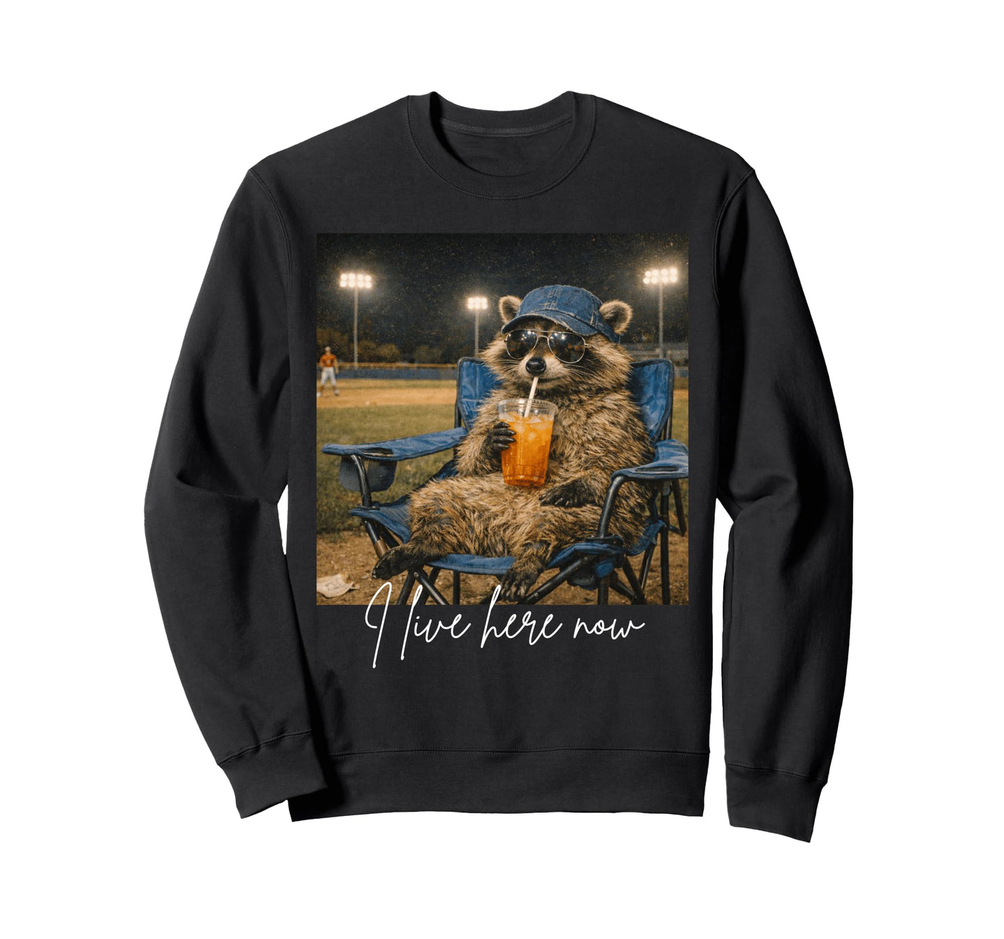 Funny Raccoon Ballfield Baseball Sweatshirt - Aesthetic Graphic Men Women - T-Shirt, Sweatshirt, Hoodie
