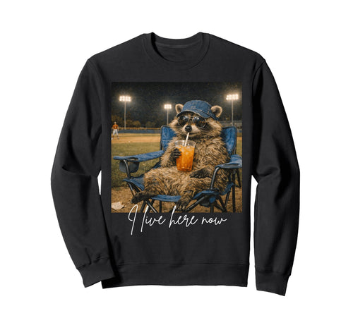 Funny Raccoon Ballfield Baseball Sweatshirt - Aesthetic Graphic Men Women - T-Shirt, Sweatshirt, Hoodie