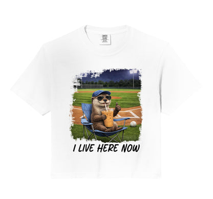 Baseball Dad I Live Here Now Hoodie - Casual Everyday Wear for Adults - T-Shirt, Sweatshirt, Hoodie