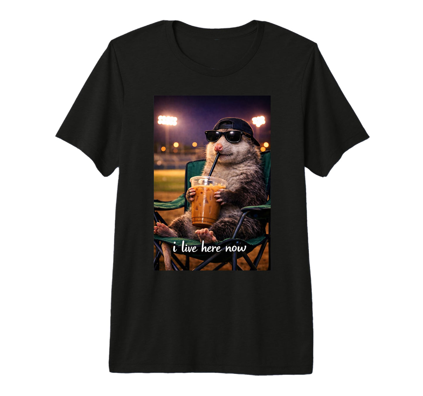Funny Opossum Ballfield Baseball T-Shirt - Casual Everyday Wear Unisex - T-Shirt, Sweatshirt, Hoodie