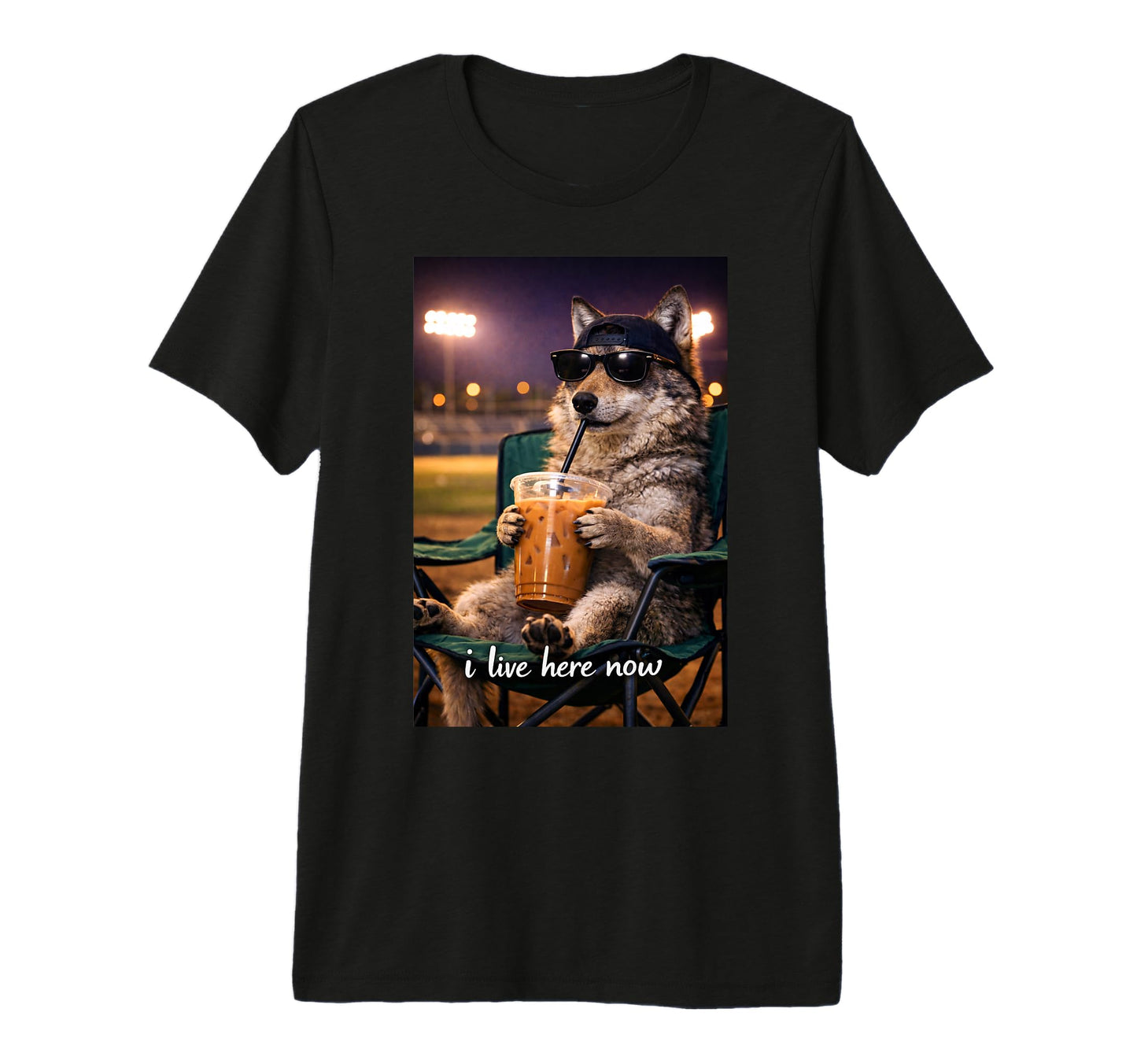 Funny Wolf Ballfield Baseball Field T-Shirt - Aesthetic Graphic Men Women - T-Shirt, Sweatshirt, Hoodie
