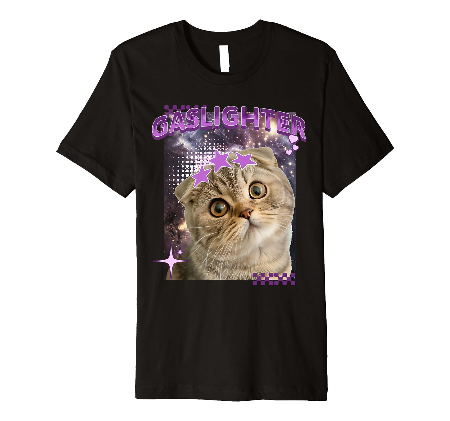 Gaslighter Ragdoll Kitten Y2K Cat T-Shirt - Streetwear Style Men Women - T-Shirt, Sweatshirt, Hoodie