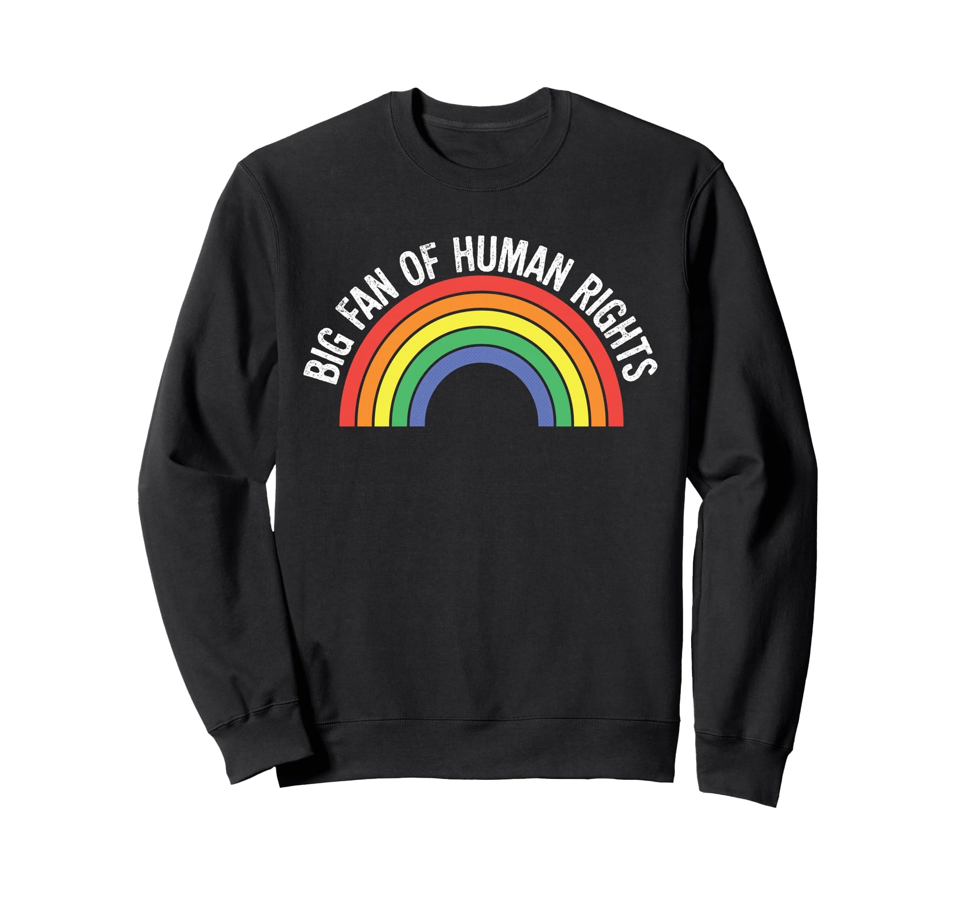 Big Fan Human Rights Rainbow Lgbtq Sweatshirt - Novelty Apparel Men Women - T-Shirt, Sweatshirt, Hoodie
