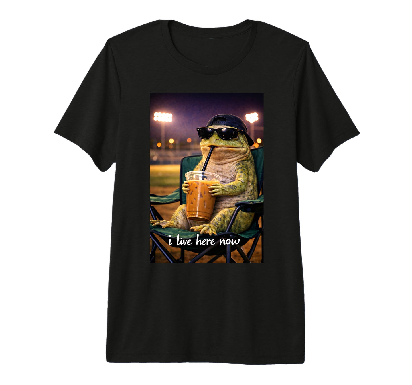 Funny Frog Ballfield Baseball Field T-Shirt - Casual Everyday Wear Unisex - T-Shirt, Sweatshirt, Hoodie