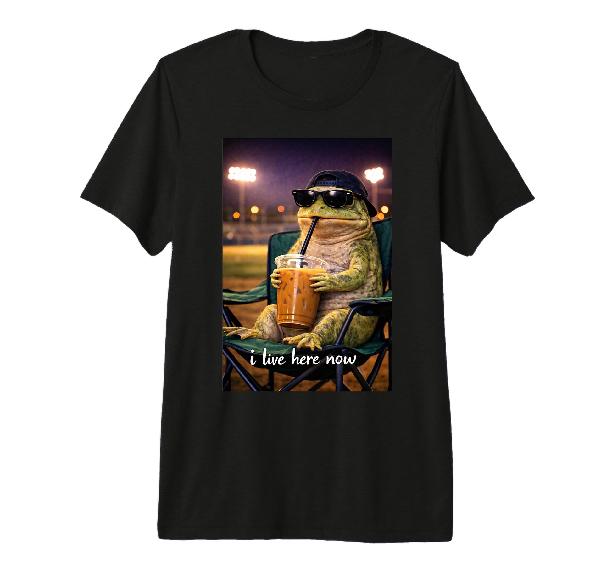 Funny Frog Ballfield Baseball Field T-Shirt - Casual Everyday Wear Unisex - T-Shirt, Sweatshirt, Hoodie