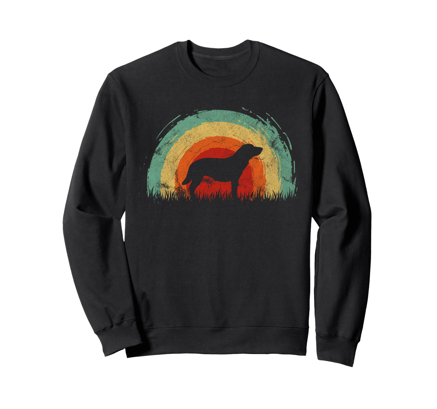 Borador Rainbow Dog Sweatshirt - Unique Graphic for Adults - T-Shirt, Sweatshirt, Hoodie