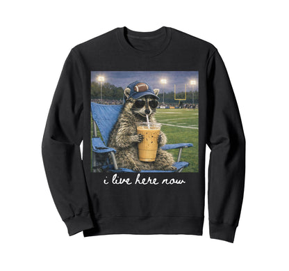 Funny Raccoon Football Field I Sweatshirt - Casual Everyday Wear Men Women - T-Shirt, Sweatshirt, Hoodie