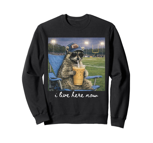 Funny Raccoon Football Field I Sweatshirt - Casual Everyday Wear Men Women - T-Shirt, Sweatshirt, Hoodie