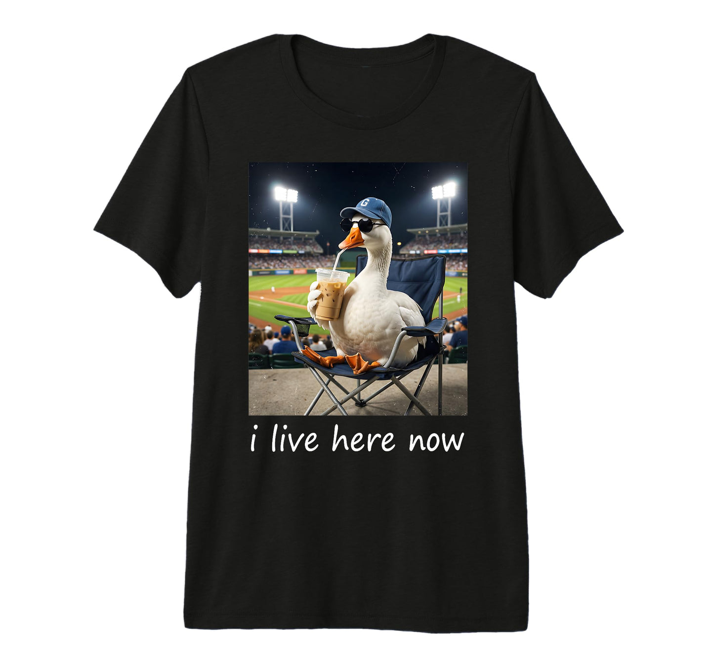 Funny Goose Ballfield Baseball Field I T-Shirt - Unique Graphic Men Women - T-Shirt, Sweatshirt, Hoodie