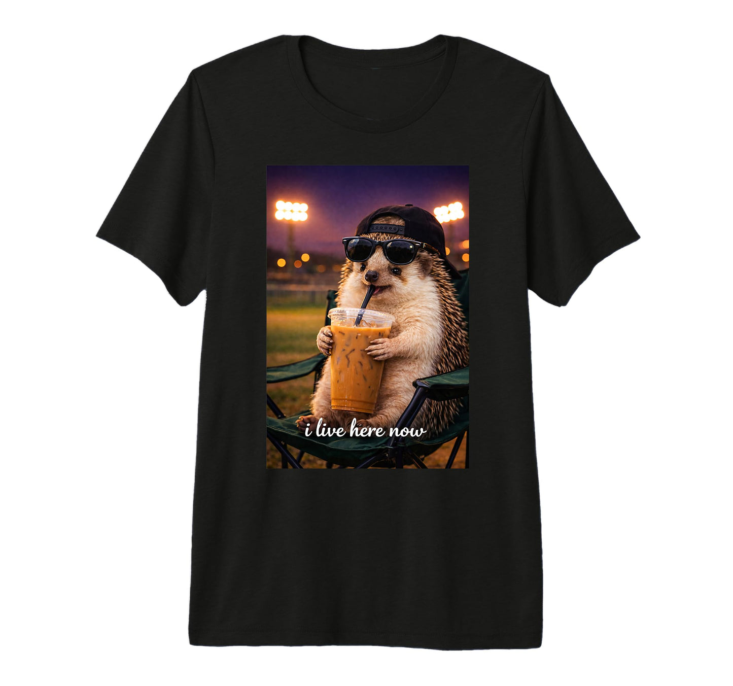 Funny Hedgehog Ballfield Baseball T-Shirt - Aesthetic Graphic Men Women - T-Shirt, Sweatshirt, Hoodie