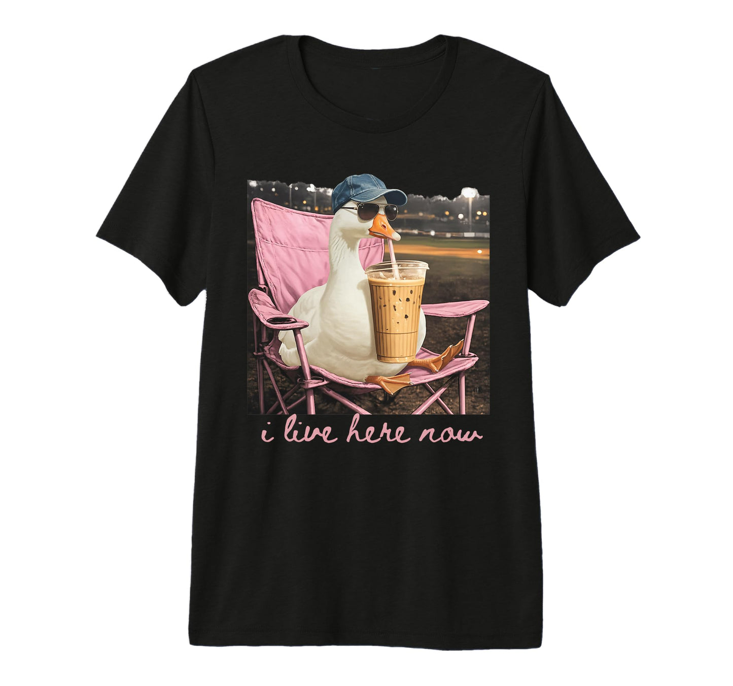 I Live Here Now Goose Coffee Ballfield T-Shirt - Aesthetic Graphic Unisex - T-Shirt, Sweatshirt, Hoodie