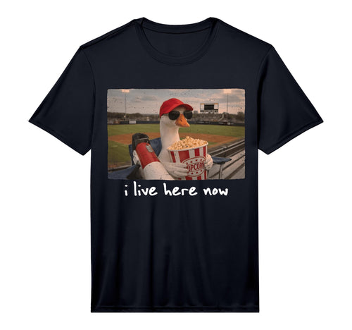 Funny Goose Ballfield Baseball Field I T-Shirt - Trendy Graphic for Adults - T-Shirt, Sweatshirt, Hoodie