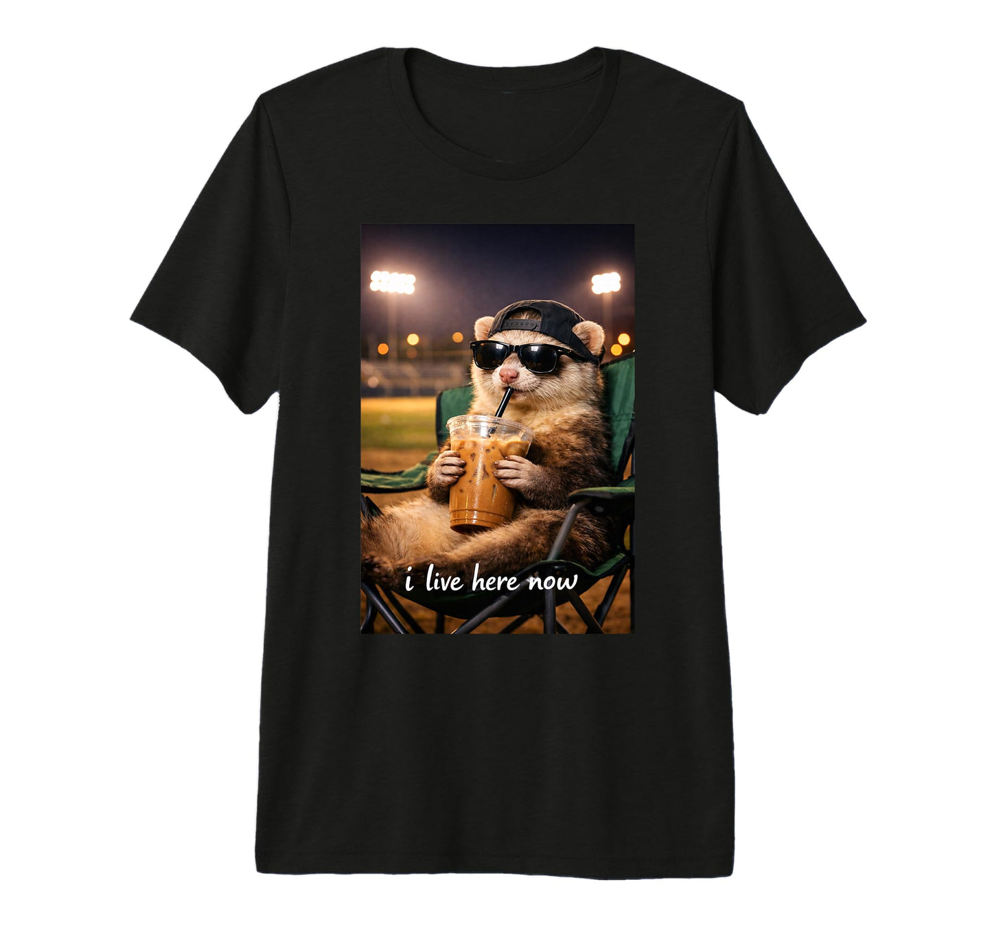 Funny Ferrets Ballfield Baseball T-Shirt - Custom Art Print Men Women - T-Shirt, Sweatshirt, Hoodie